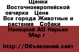 Щенки Восточноевропейской овчарки › Цена ­ 25 000 - Все города Животные и растения » Собаки   . Ненецкий АО,Нарьян-Мар г.